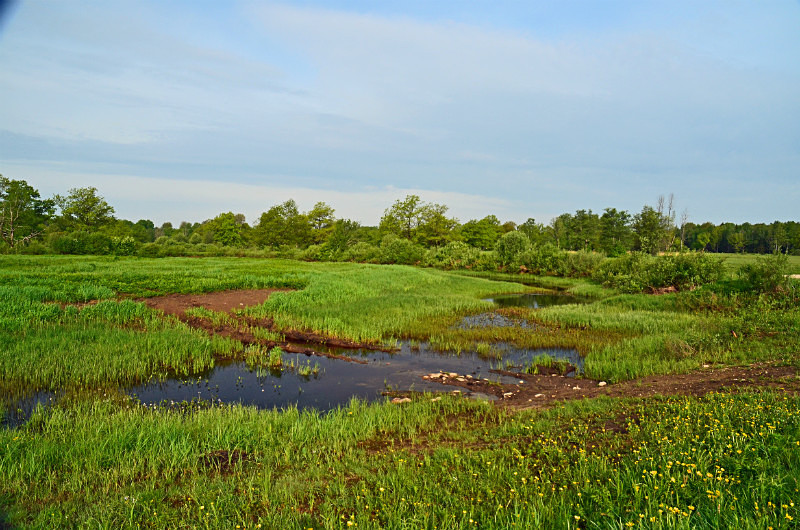 Soomaa National Park, Estonia - Estonia