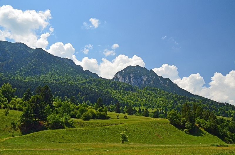 Piatra Craiului Mountains, Brașov County, Romania - Romania