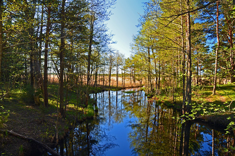 Nõva Recreation and Landscape Protection Area, Estonia - Estonia
