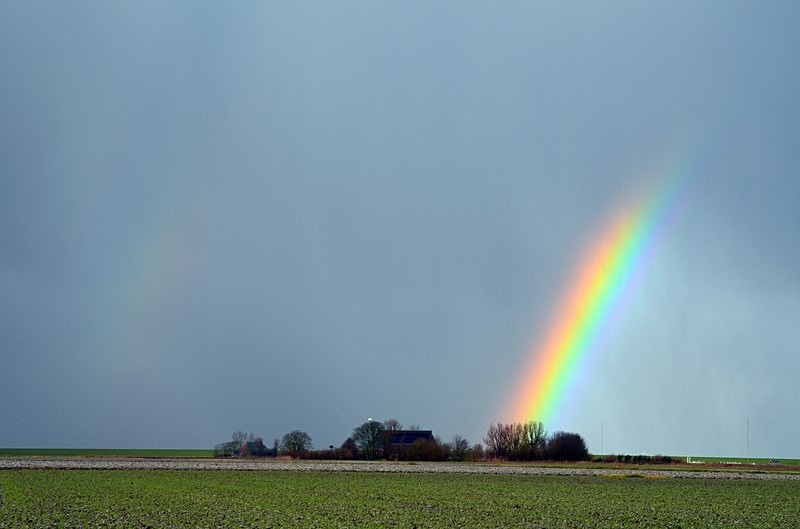 Dokkum area, Friesland, Netherlands - Netherlands - December 2019