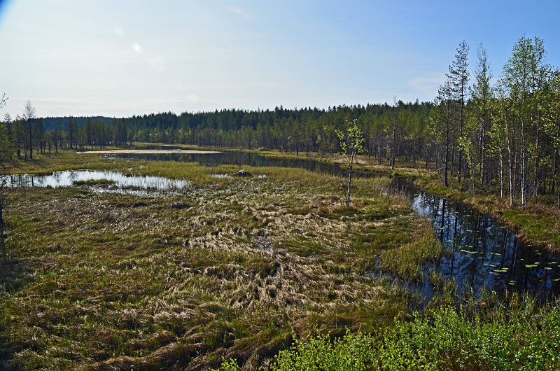 Vartius To Suomussalmi, Kainuu, Finland