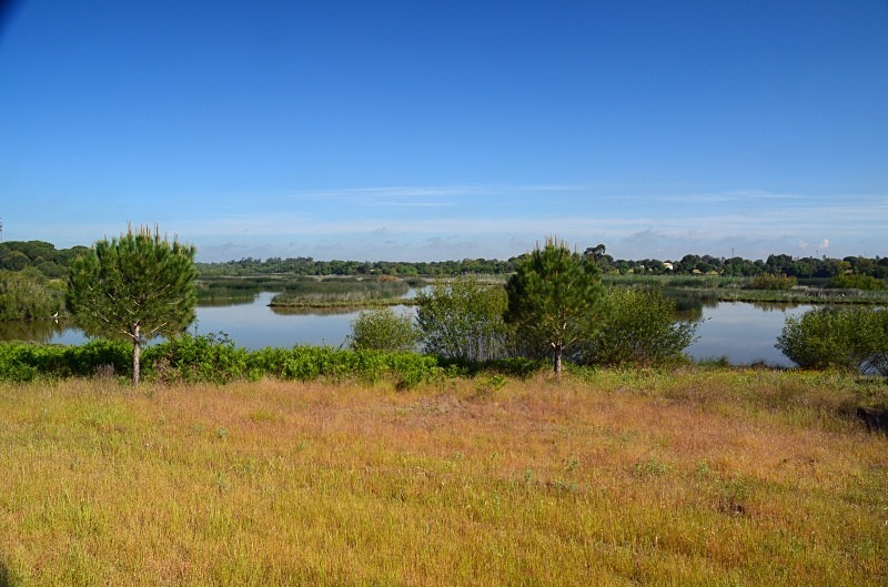 La Rocina, Coto Doñana, Andalucia, Spain - South and west Spain - April and May 2012