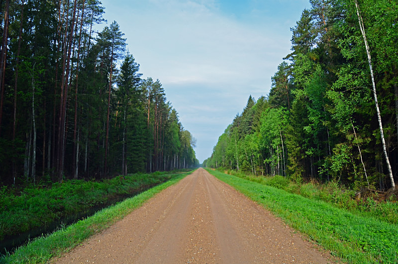 Soomaa National Park, Estonia - Estonia