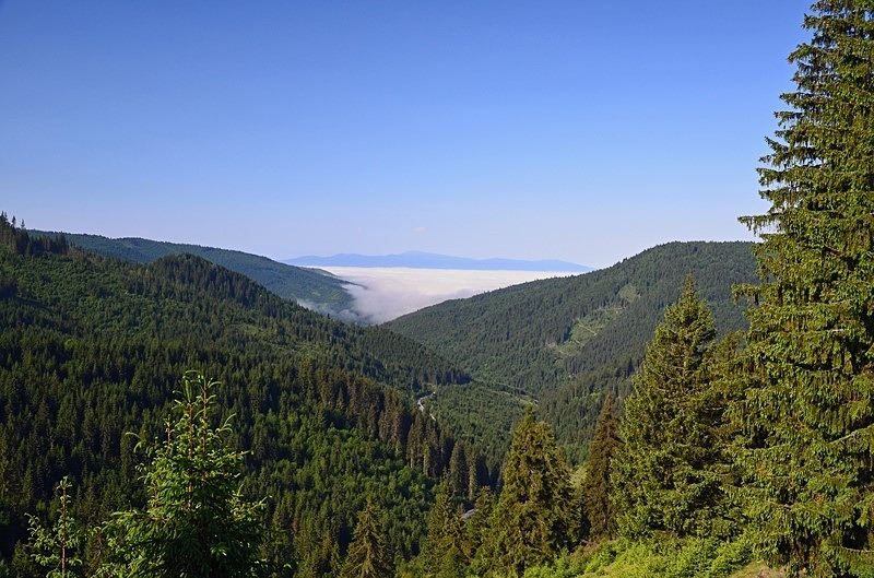 Eastern Carpathian Mountains, Harghita County, Romania - Romania