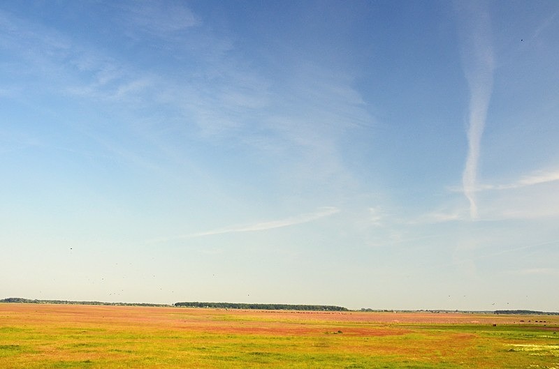 Hortobágy National Park, Hajdú-Bihar county, Hungary - Hungary
