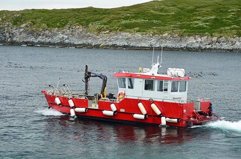 Hornøya, Barents Sea, Troms og Finnmark, Norway - North Norway