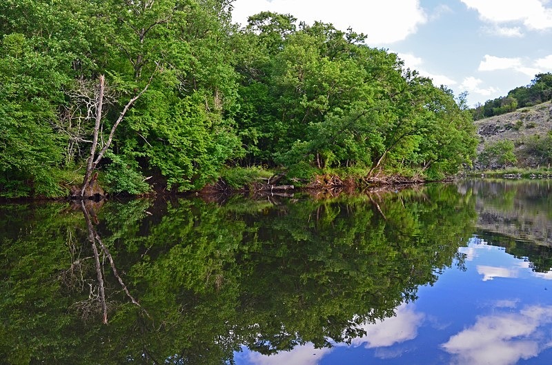 Ropotamo Nature Reserve, Burgas Province, Bulgaria - Bulgaria