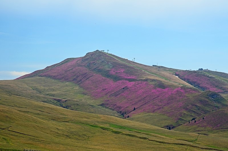 Bucegi Mountains, Prahova County, Romania - Romania