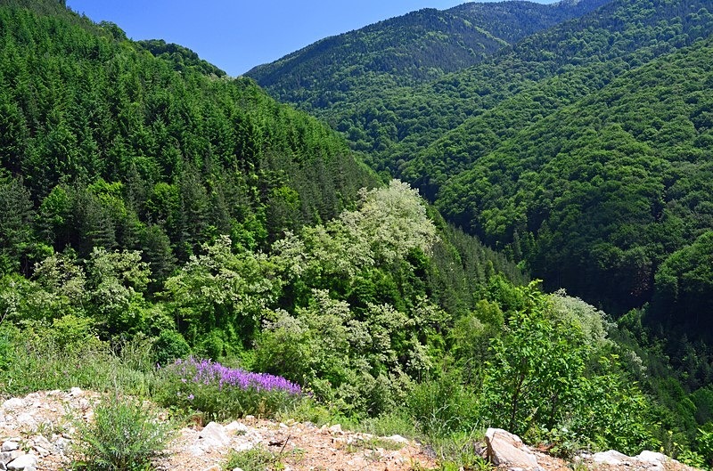 Gotse Delchev to Melnik, Blagoevgrad Province, Bulgaria - Bulgaria