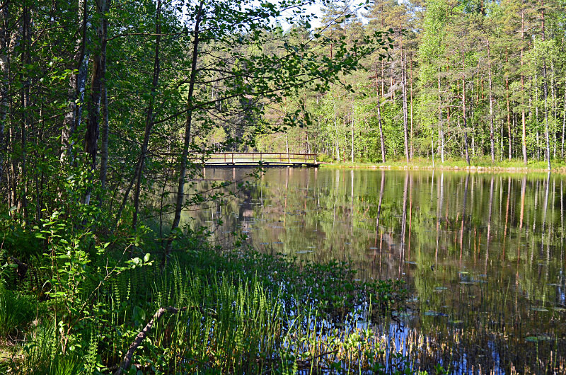 Nuuksio National Park, Uusimaa, Finland - North east Finland