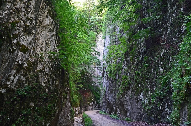 Piatra Craiului Mountains, Brașov County, Romania - Romania