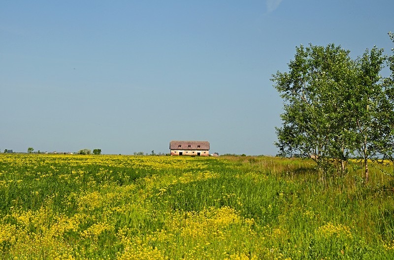 Hortobágy National Park, Hajdú-Bihar county, Hungary