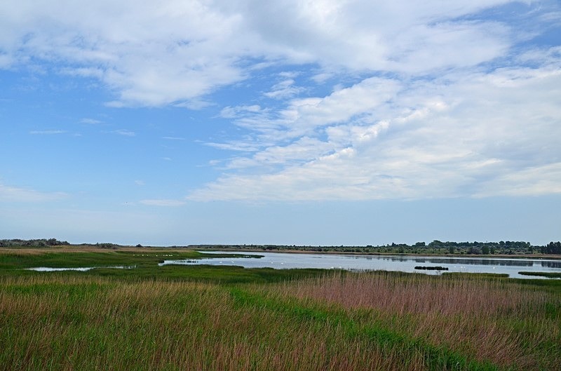 Shabla wetlands, Dobrich Province, Bulgaria - Bulgaria