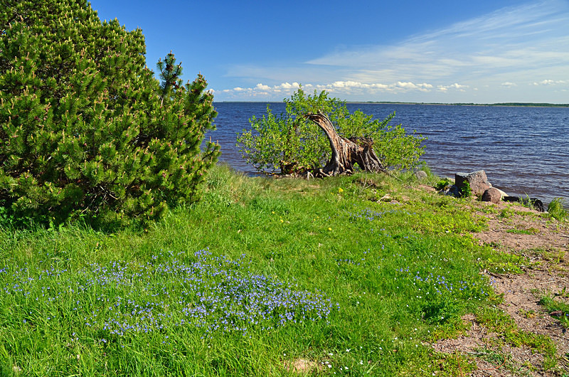 Lake Peipus, Estonia