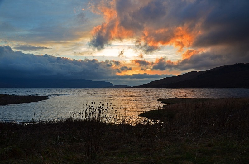 November 2011 - Loch Beg, Mull - Photos of the month