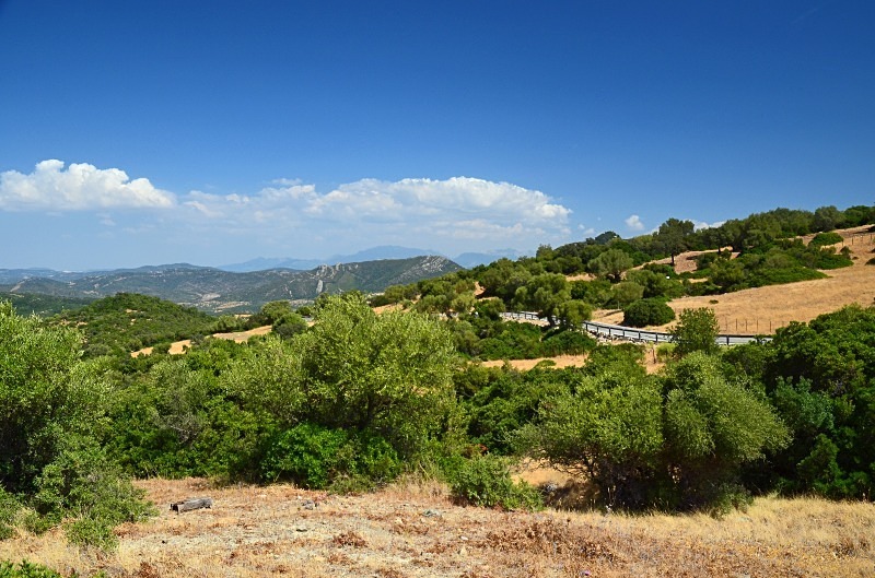Los Alcornocales, Andalucia, Spain - South Spain - September 2013