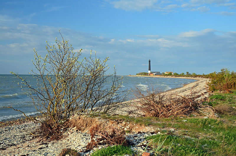 Sõrve peninsula, Saaremaa island, Estonia - Estonia