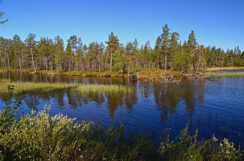 Pasvikdalen, Troms og Finnmark, Norway - North Norway