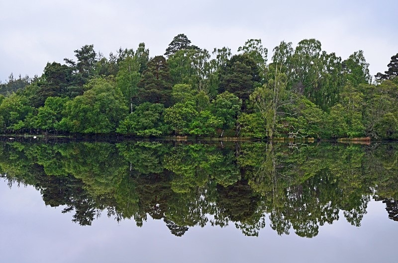 Loch of the Lowes, Perthshire - Lakes and lochs