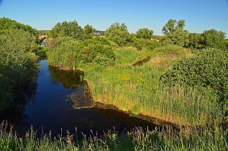 Parížske močiare, Nitra region, Slovakia - Slovakia