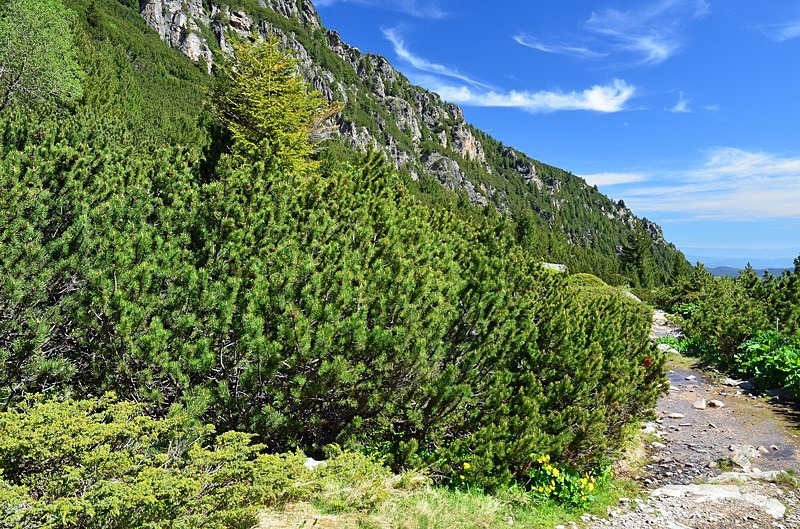 Rila Mountains, Sofia Province, Bulgaria - Bulgaria