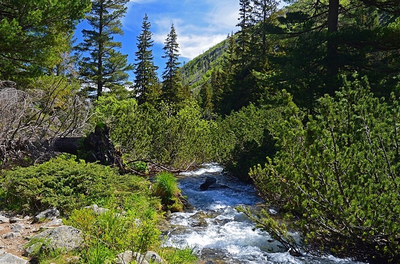 Rila Mountains, Sofia Province, Bulgaria - Bulgaria