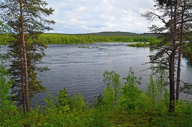 Pasvikdalen, Troms og Finnmark, Norway - North Norway