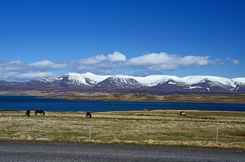 Hvalfjörður, west Iceland - West Iceland