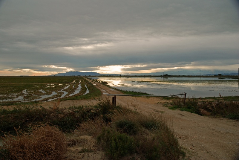 Delta de l’Ebre, Catalunya, Spain - Catalunya