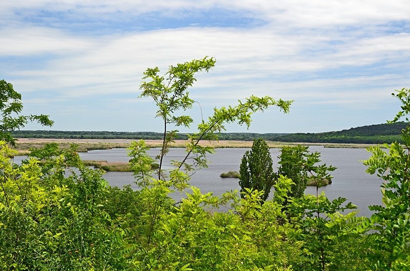 Lake Srebarna, Silistra Province, Bulgaria - Bulgaria
