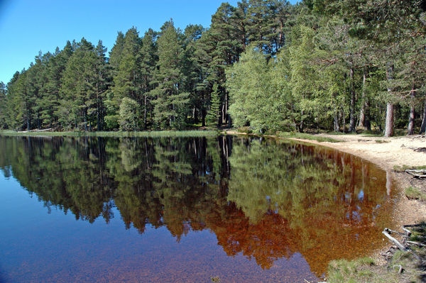 Loch Garten, Highland - Lakes and lochs