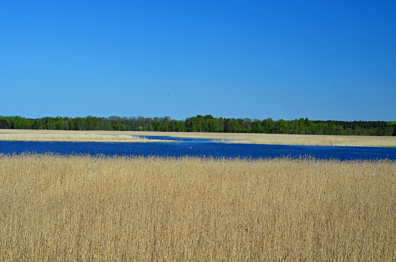Sutlepa meri, Silma Nature Reserve, Estonia - Estonia
