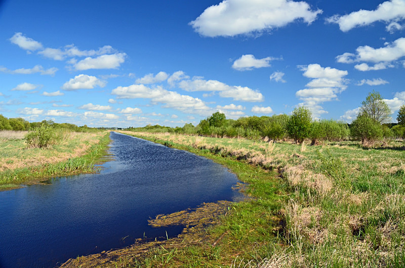 Aardla polder, Estonia - Estonia
