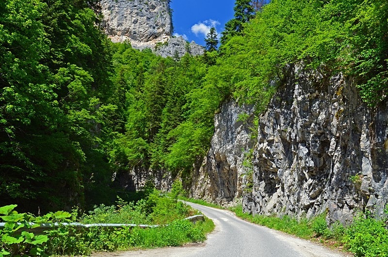 Western Rhodopes Mountains, Smolyan Province, Bulgaria - Bulgaria