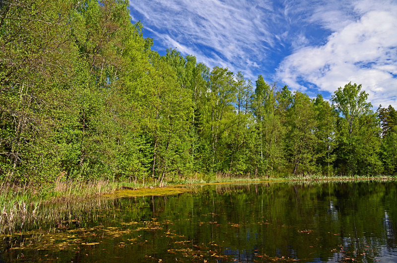 Endla Nature Reserve, Estonia - Estonia