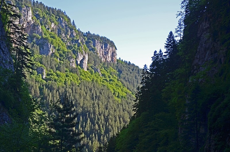 Western Rhodopes Mountains, Smolyan Province, Bulgaria - Bulgaria