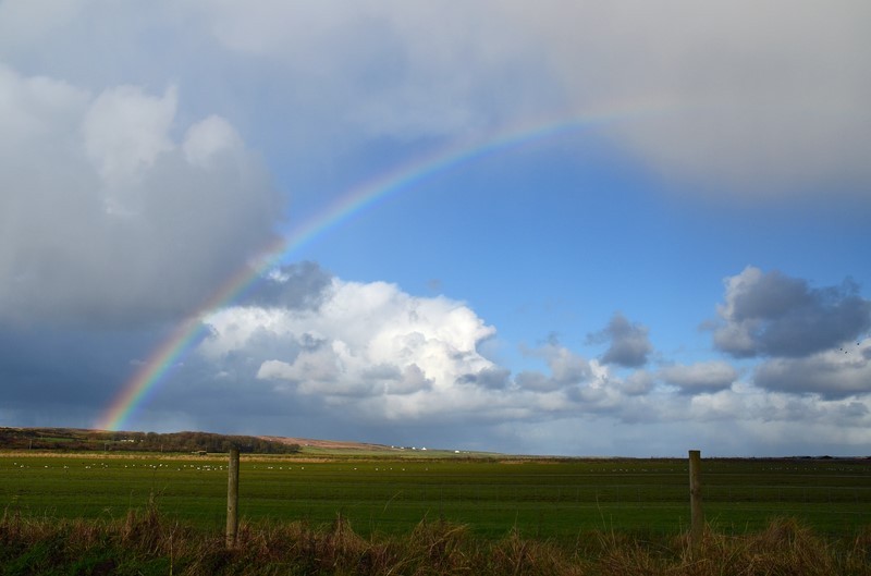  - Rainbows