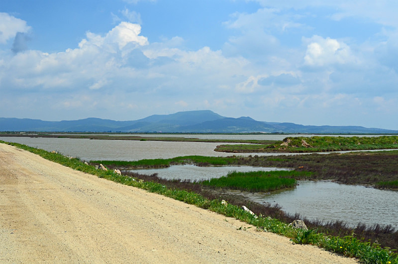 Evros Delta, East Macedonia and Thrace, Greece - East Macedonia and Thrace