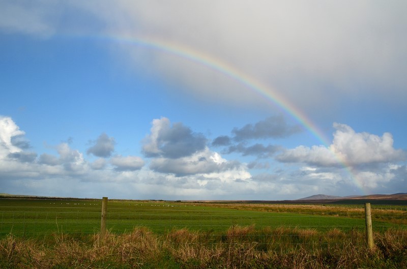  - Rainbows