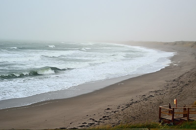 Ballyteige Strand, Kilmore Quay, Co. Wexford, Ireland - Ireland - January and February 2020