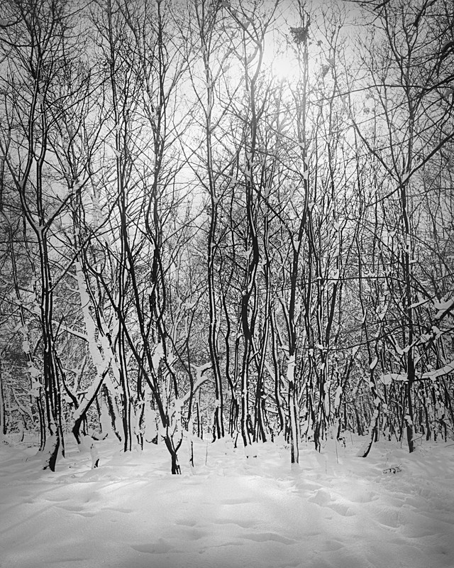 Black and White Photograph of Winter Light and Shape - Abstract & Still Life