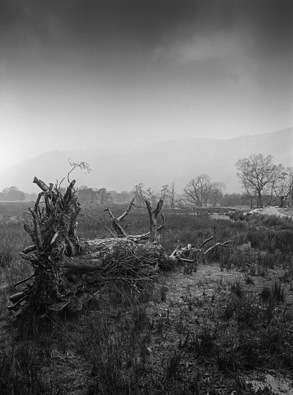 Fallen #1, Lake District - Landscapes