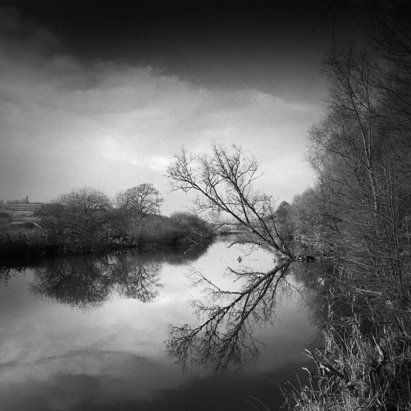 Tree Reflection
