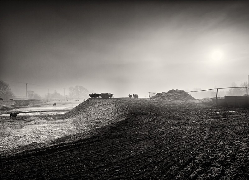 Winter Sun