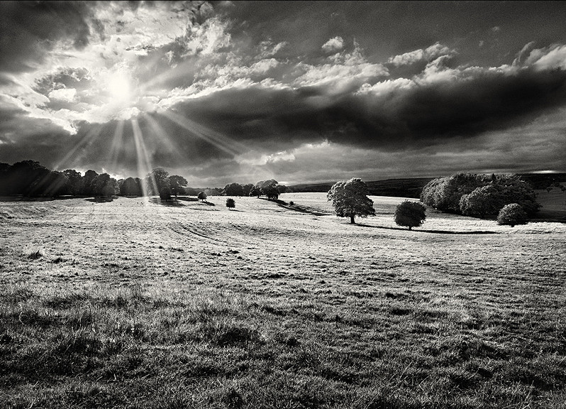 Yorkshire photographer martin henson
