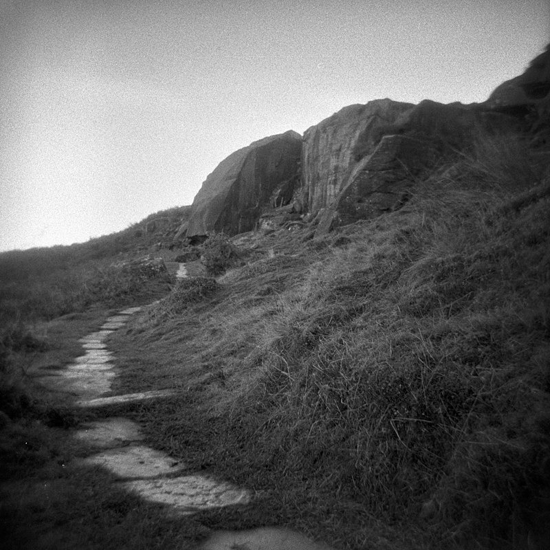 Path, Ilkley Moor - Holga 120N