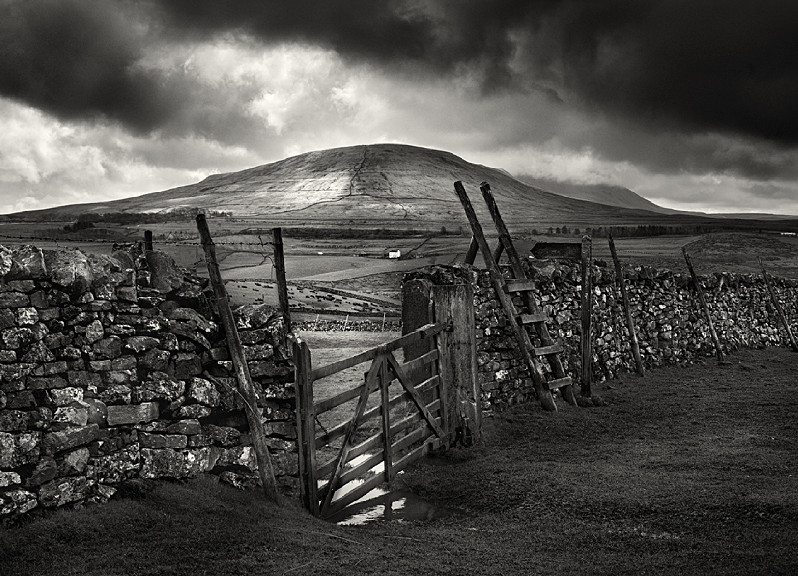 Yorkshire Tradition Stone Wall