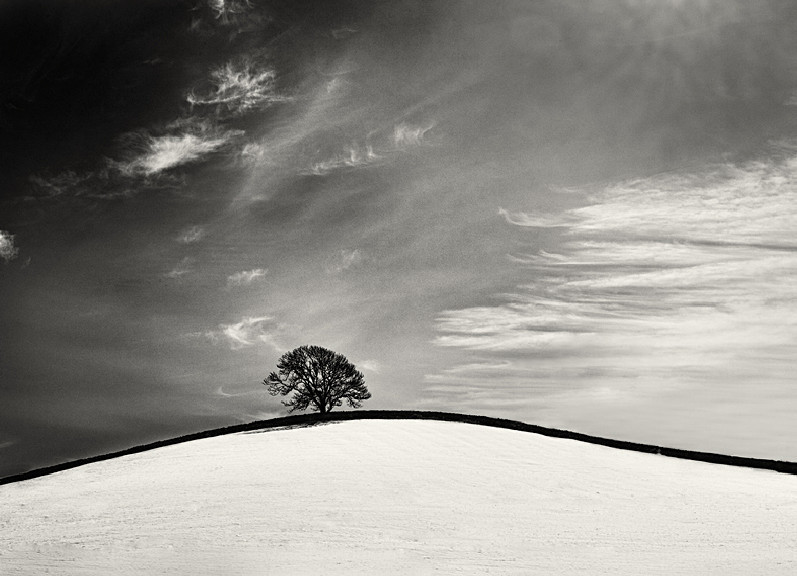 Gentle Curves