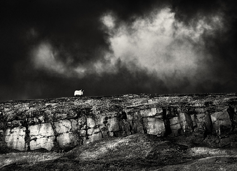 Sparse Yorkshire Landscape
