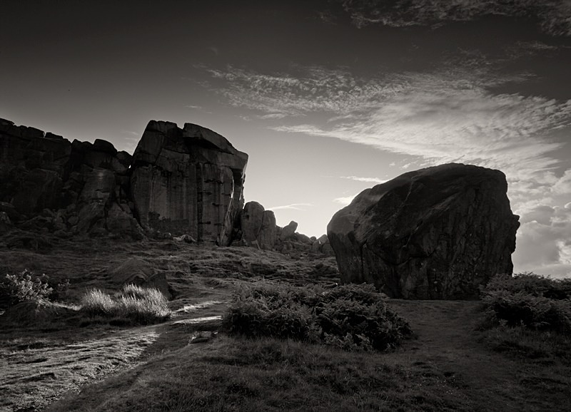 Cow and Calf Ilkly